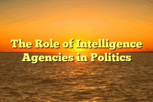 The Role of Intelligence Agencies in Politics