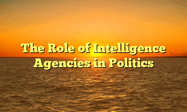 The Role of Intelligence Agencies in Politics