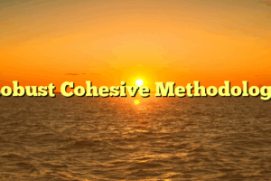 Robust Cohesive Methodology