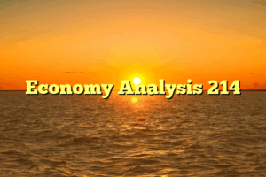 Economy Analysis 214