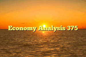 Economy Analysis 375
