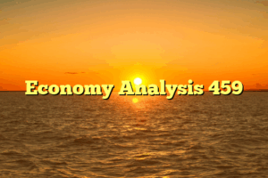 Economy Analysis 459