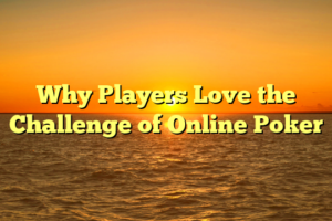 Why Players Love the Challenge of Online Poker