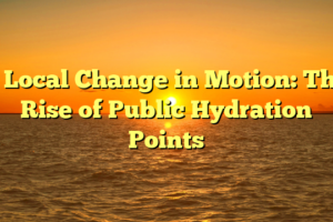 # Local Change in Motion: The Rise of Public Hydration Points
