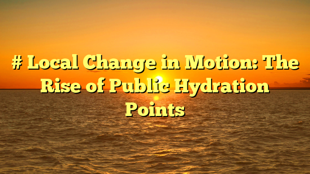# Local Change in Motion: The Rise of Public Hydration Points