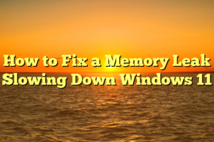 How to Fix a Memory Leak Slowing Down Windows 11
