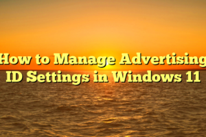 How to Manage Advertising ID Settings in Windows 11